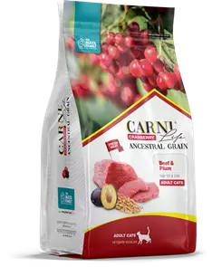 Сухой корм CARNI LIFE для кошек говядина с черносливом и клюквой Ancestral Grain Beef / Plum Adult