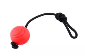 Мяч 6,5 см литой на веревке NUNBELL для собак средних и крупных пород